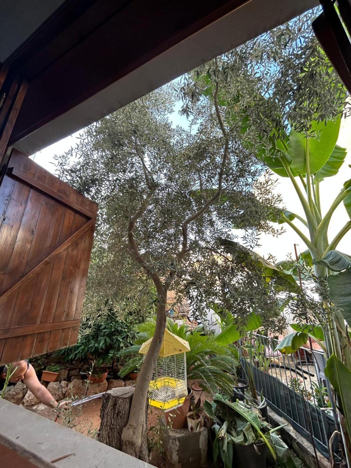 פמגוסטה Magic Moon Guest House מראה חיצוני תמונה